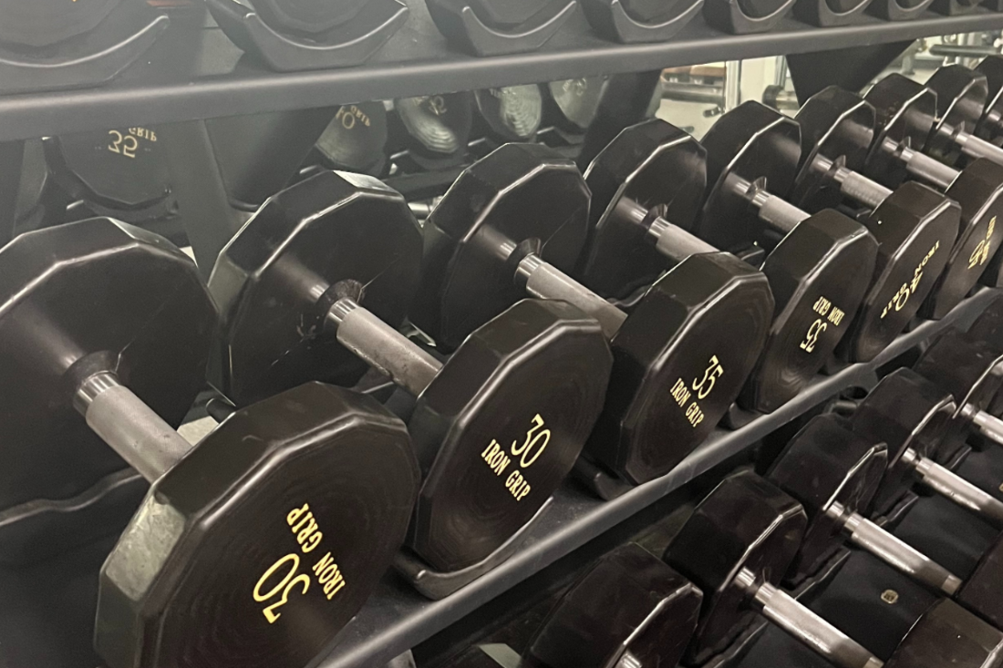 fitness, weights